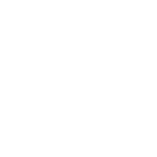 Vinilady